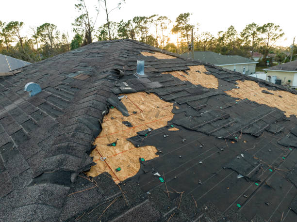 Best Sheet Metal Roofing  in North Muskegon, MI